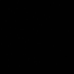 Meet your Posher, Summer